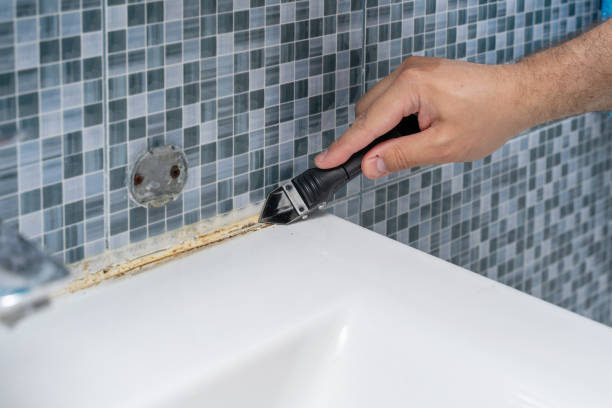 Best Same-Day Mold Removal  in Meadowdale, WA