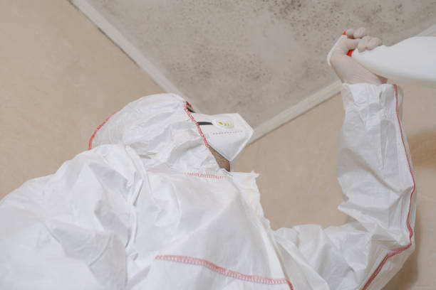 Best Toxic Mold Removal  in Meadowdale, WA